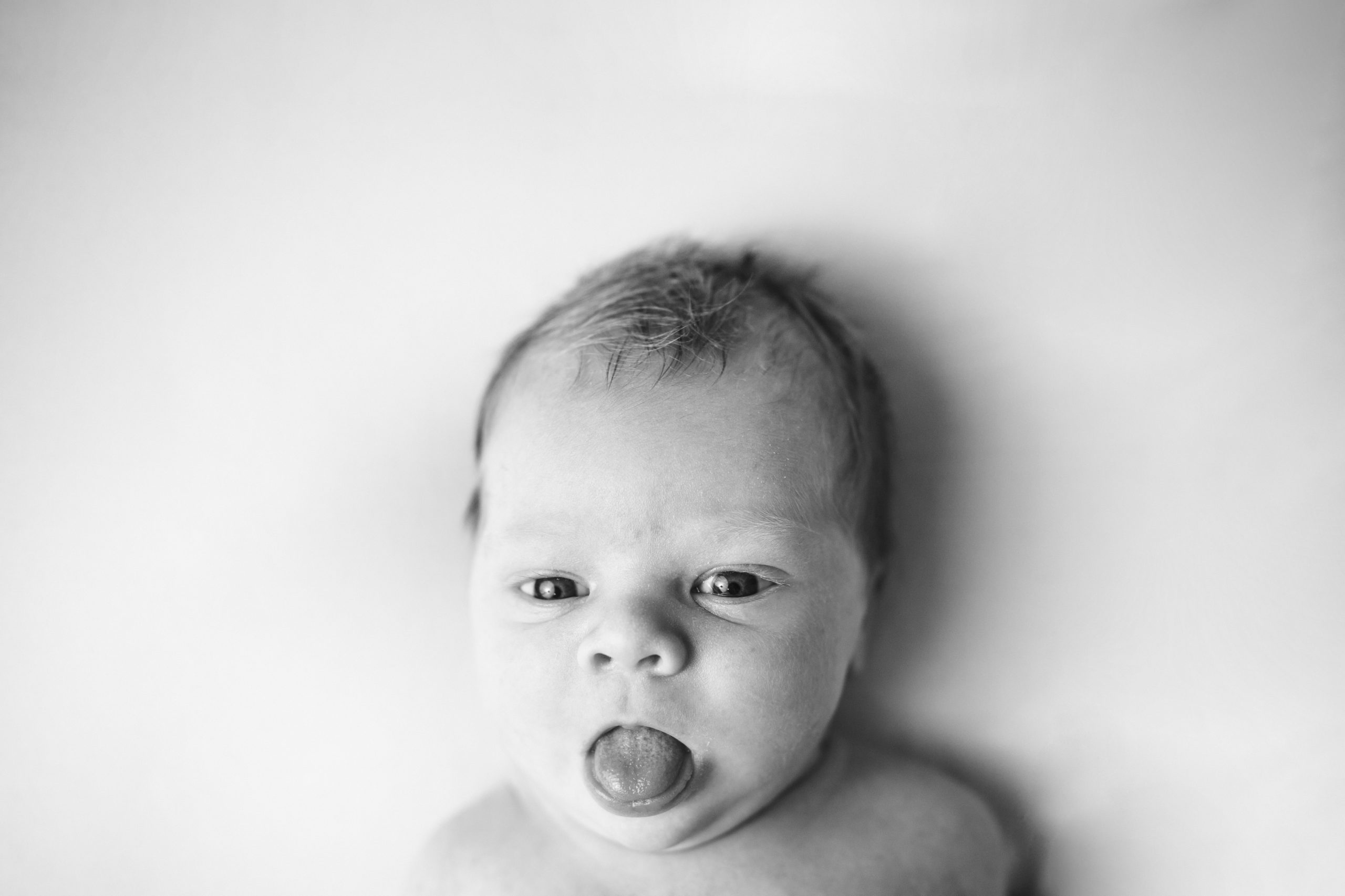 Newborn Photograph by AKP North Liberty Photographer