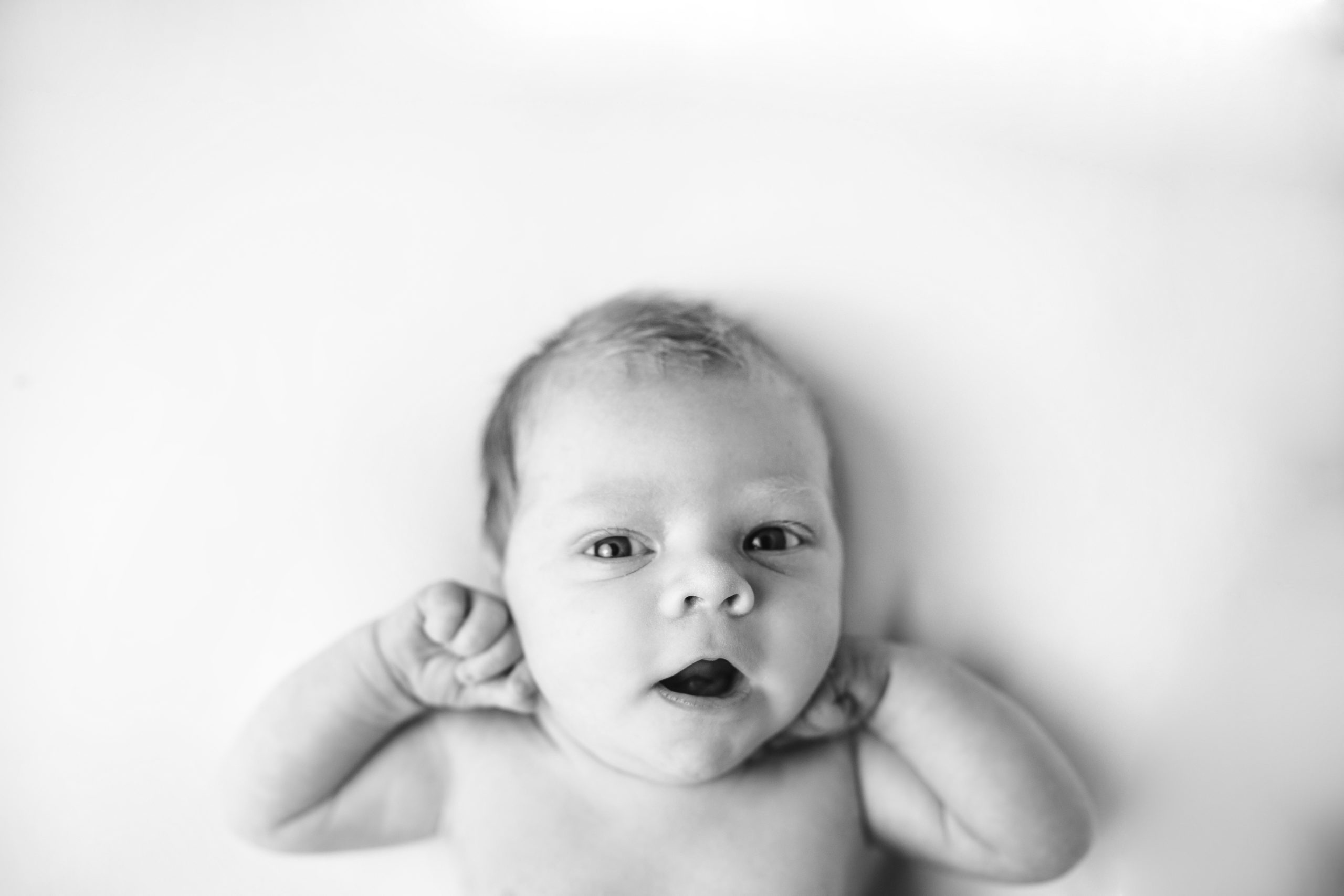 Newborn Photograph by AKP North Liberty Photographer