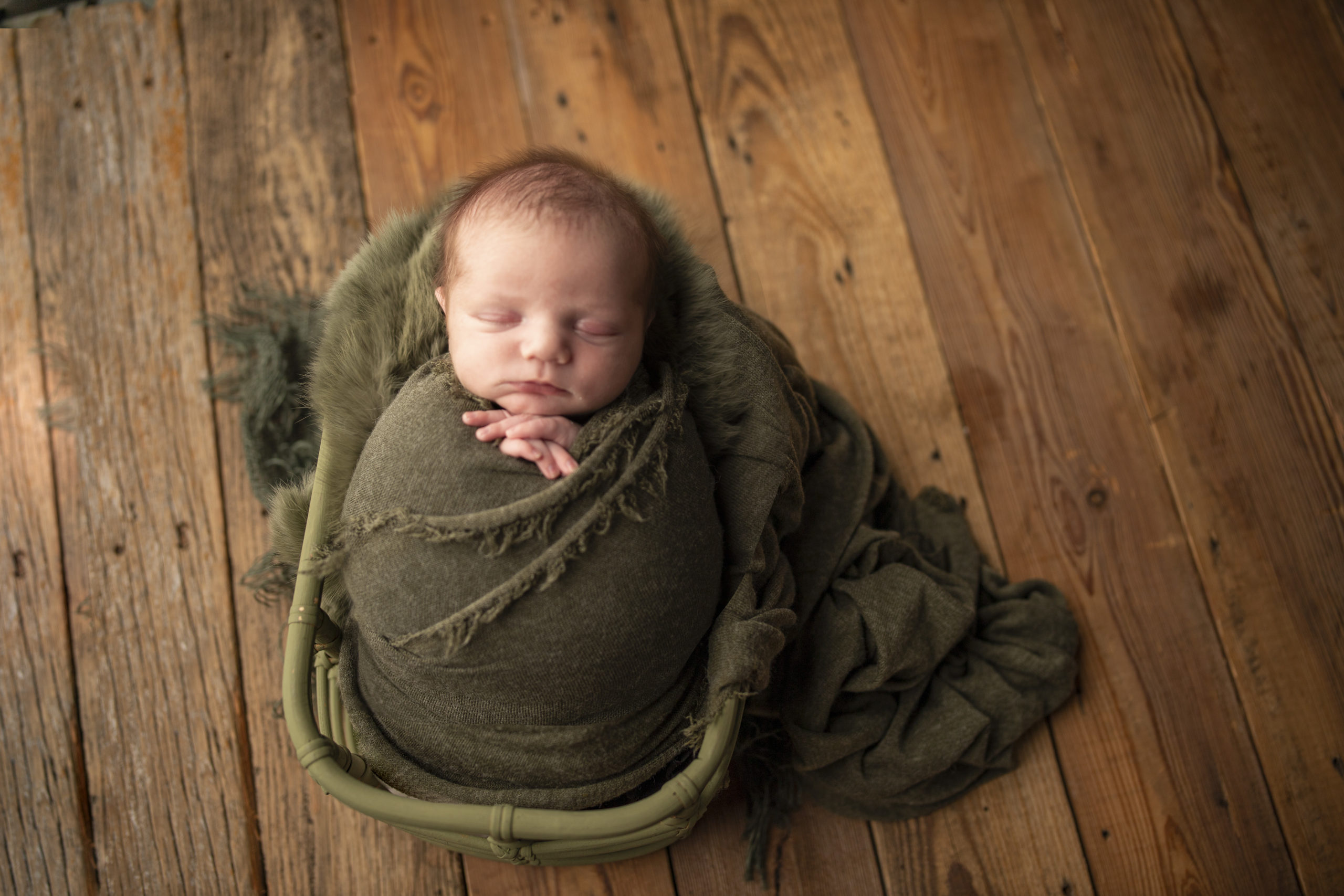 Cedar Falls Newborn Photographer
