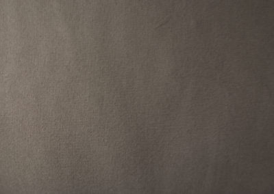 Tan newborn photo fabric Cedar Rapids newborns
