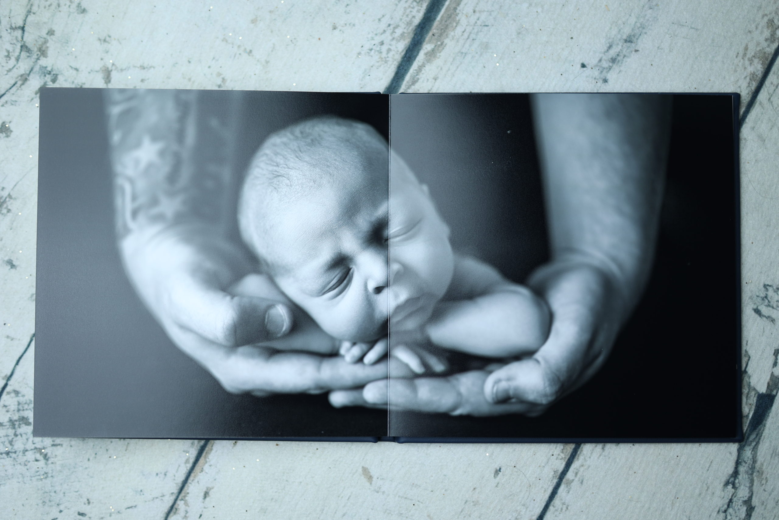 Iowa Newborn Portrait Photography Album